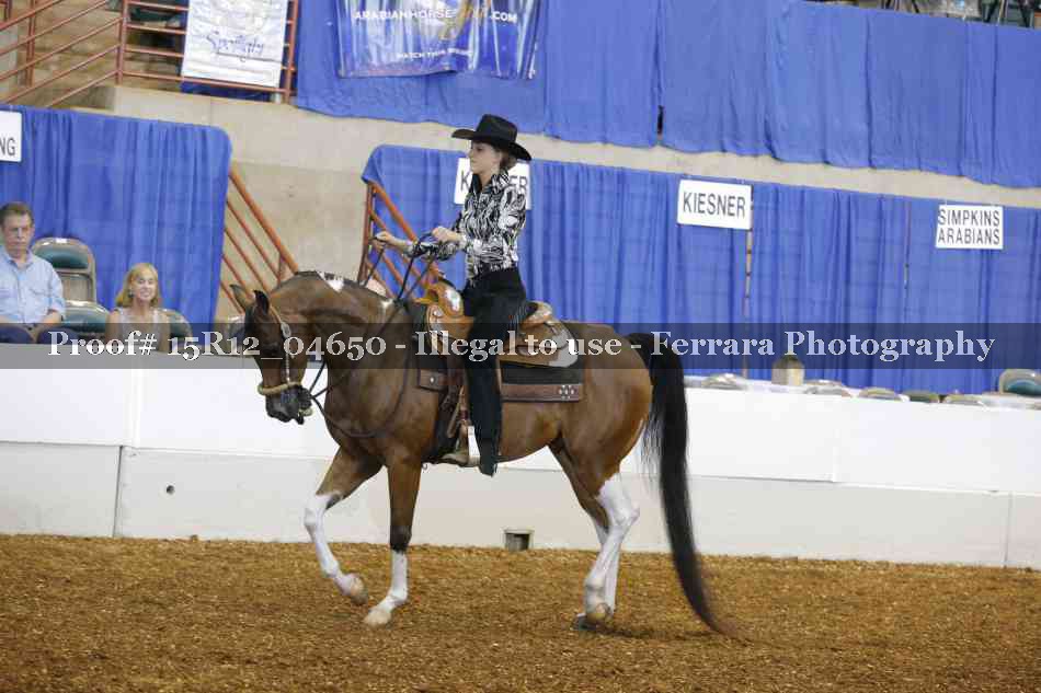 Proof 15R12_04650