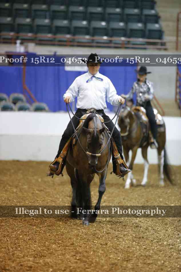 Proof 15R12_04653
