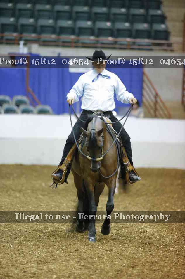 Proof 15R12_04654