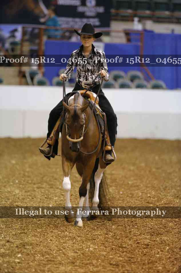 Proof 15R12_04655
