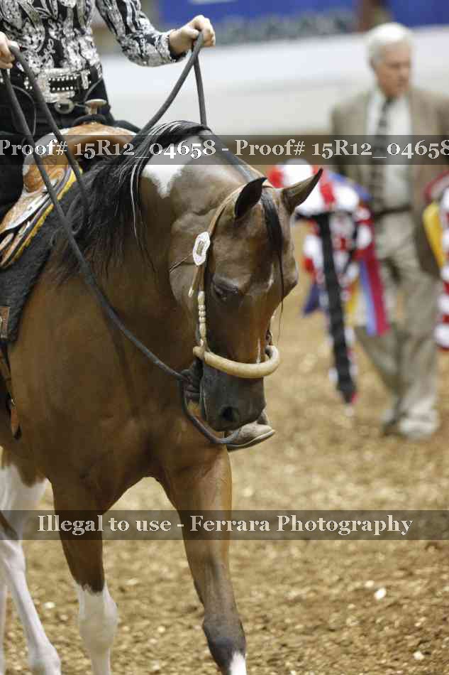 Proof 15R12_04658