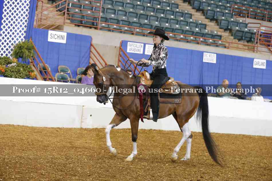 Proof 15R12_04660