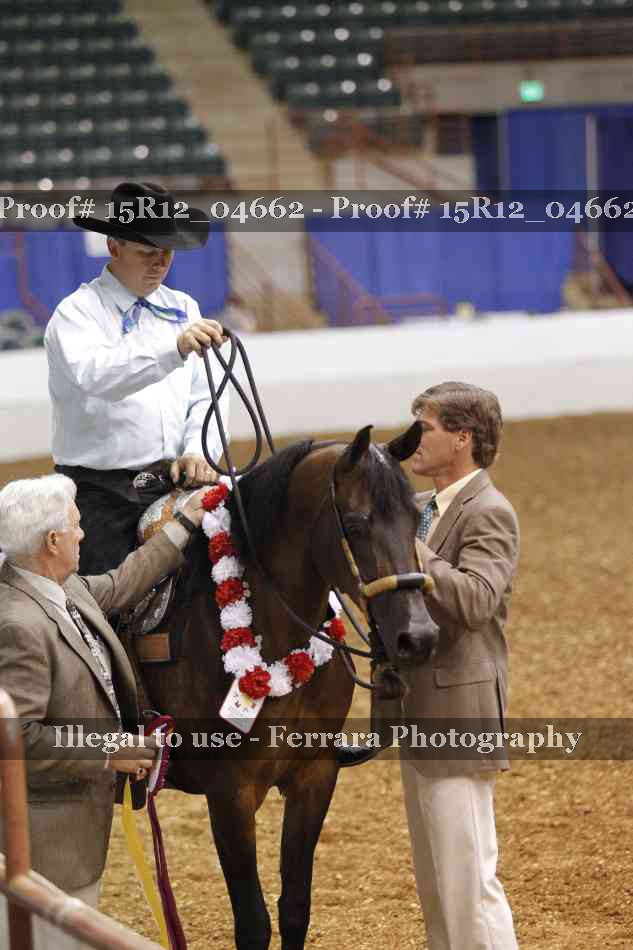Proof 15R12_04662