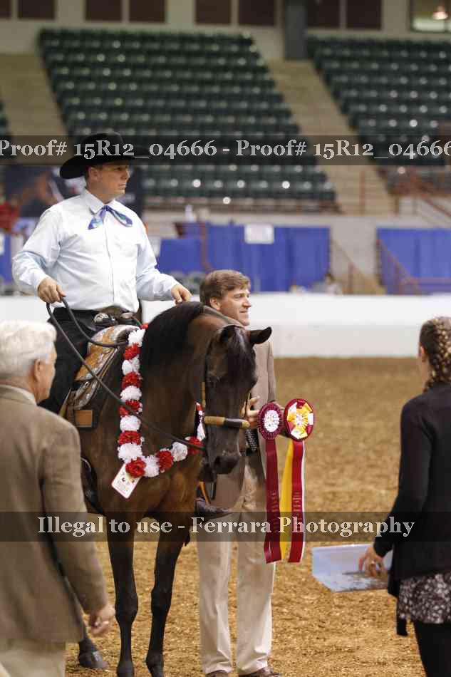 Proof 15R12_04666