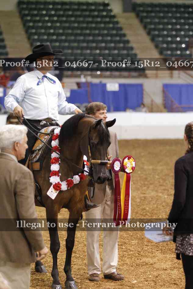 Proof 15R12_04667