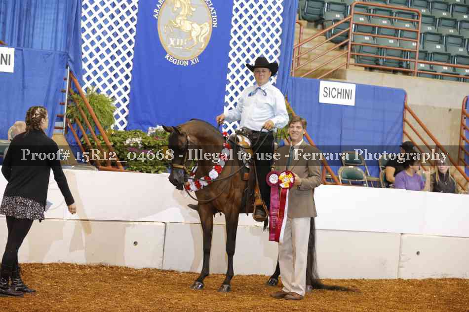 Proof 15R12_04668