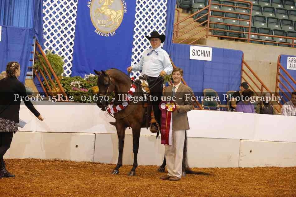 Proof 15R12_04670