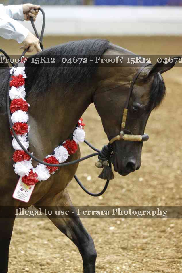 Proof 15R12_04672