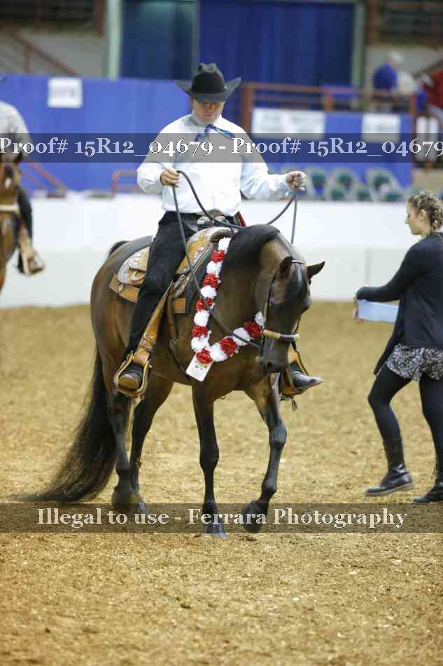 Proof 15R12_04679