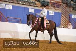 15R12_04687 proof