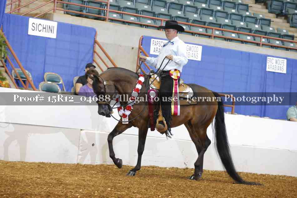 Proof 15R12_04688