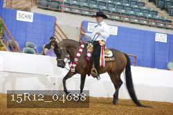 15R12_04688 proof