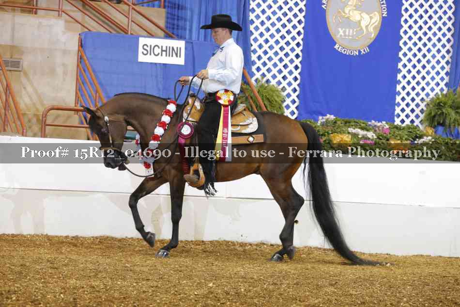Proof 15R12_04690