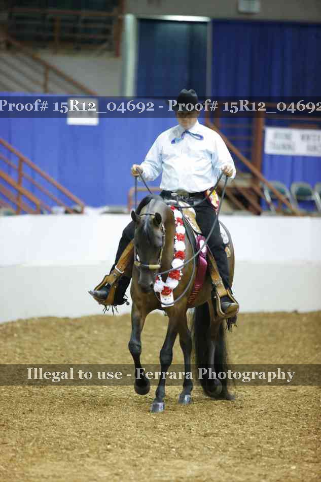 Proof 15R12_04692