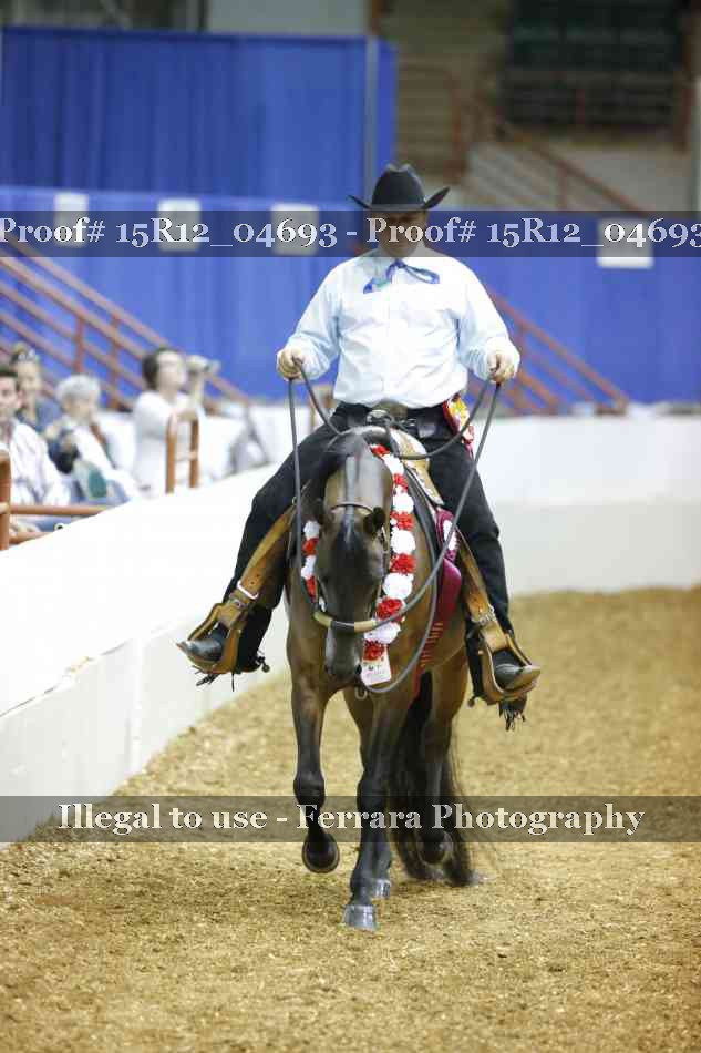 Proof 15R12_04693