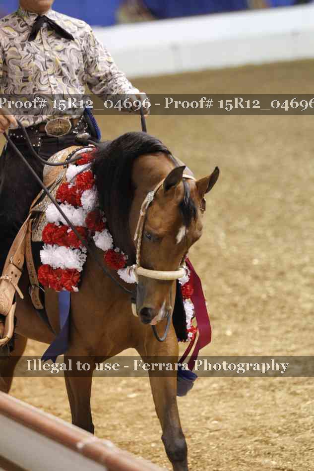 Proof 15R12_04696