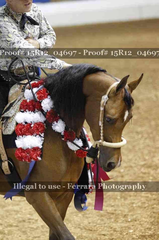 Proof 15R12_04697