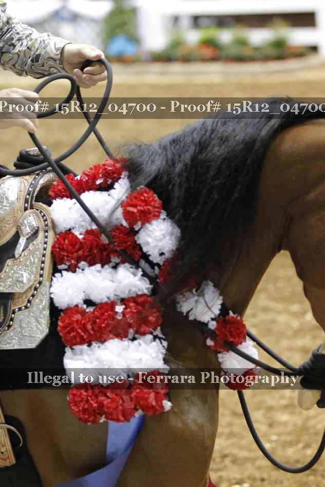 Proof 15R12_04700