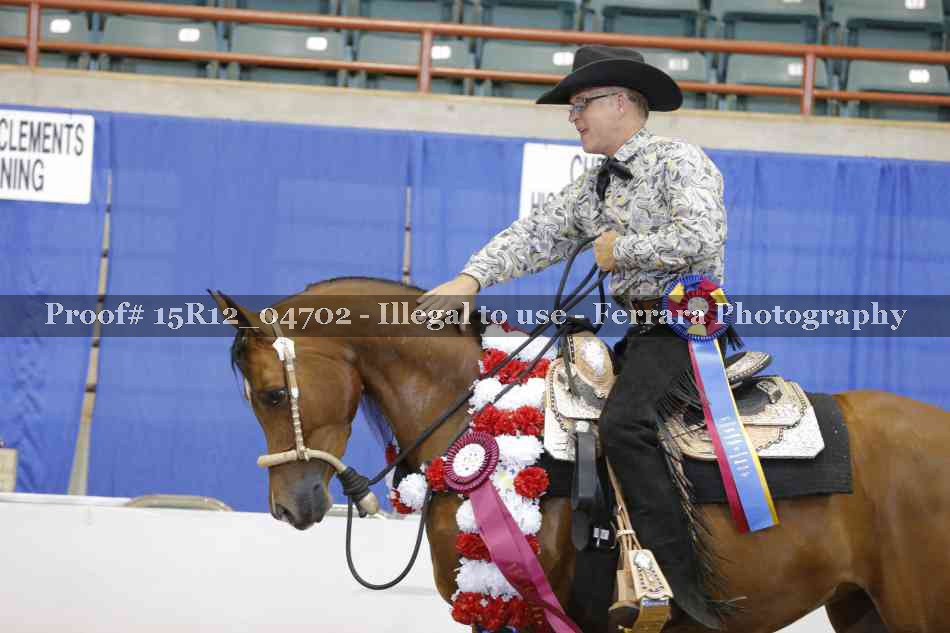 Proof 15R12_04702