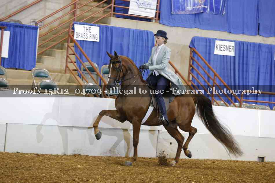 Proof 15R12_04709