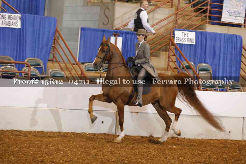 Proof 15R12_04711