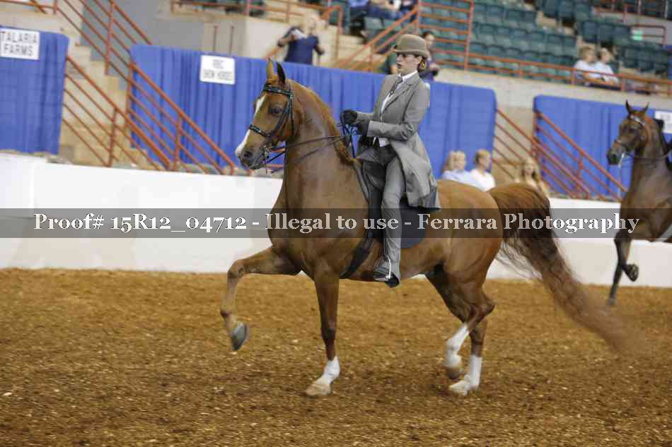 Proof 15R12_04712