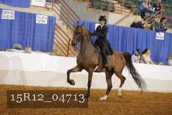 15R12_04713 proof