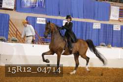 15R12_04714 proof