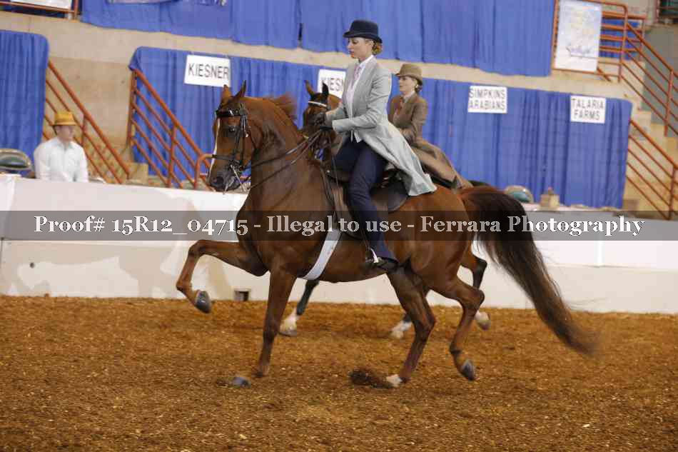 Proof 15R12_04715