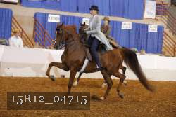 15R12_04715 proof