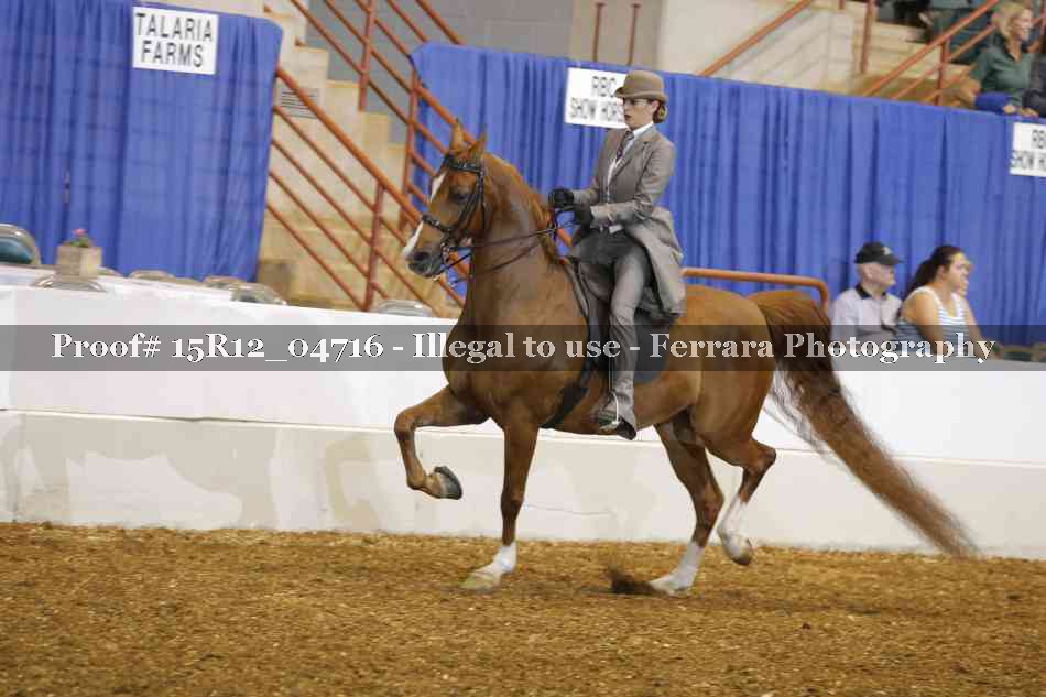 Proof 15R12_04716