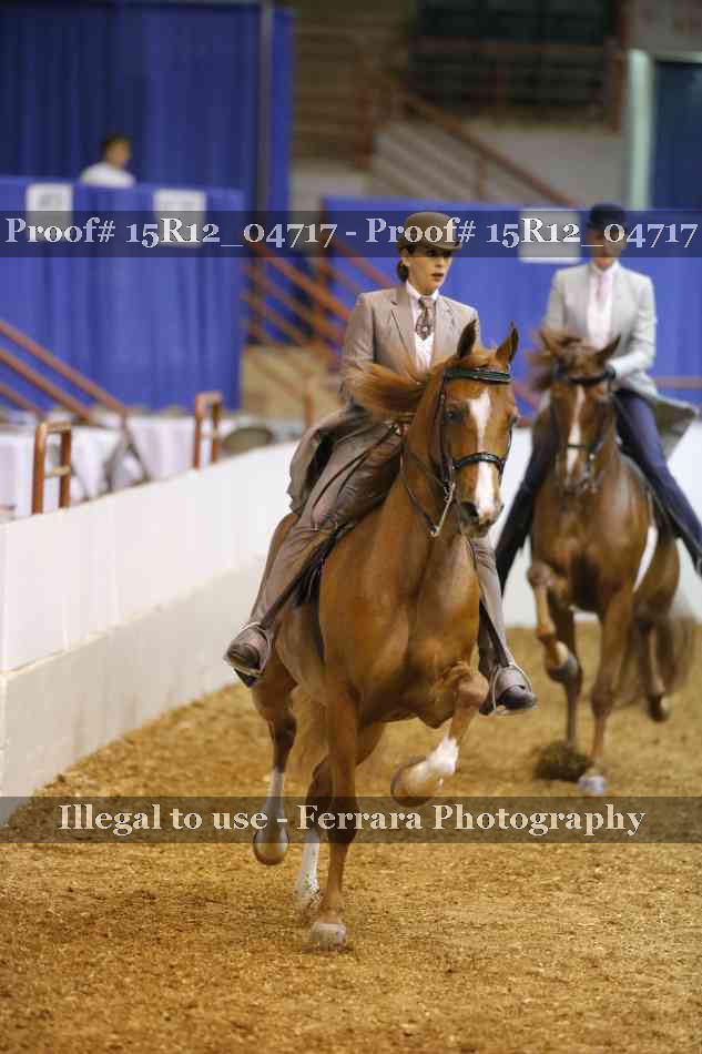 Proof 15R12_04717