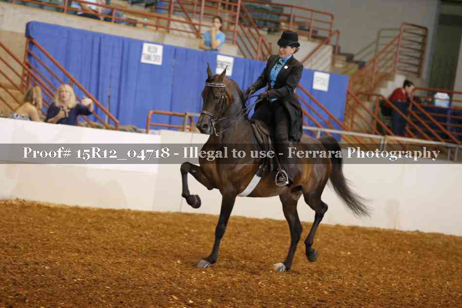 Proof 15R12_04718