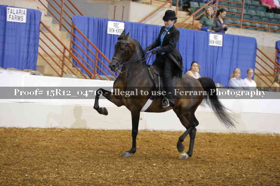 Proof 15R12_04719