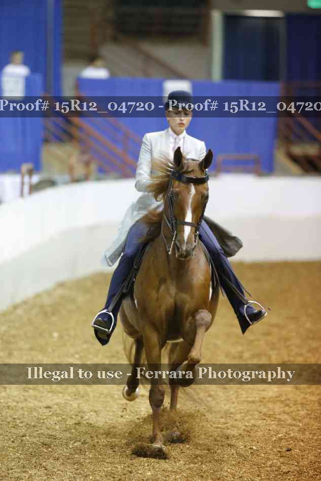 Proof 15R12_04720