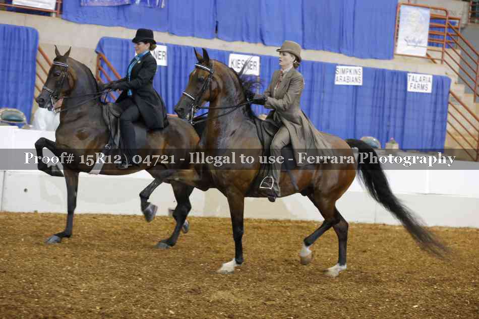 Proof 15R12_04721