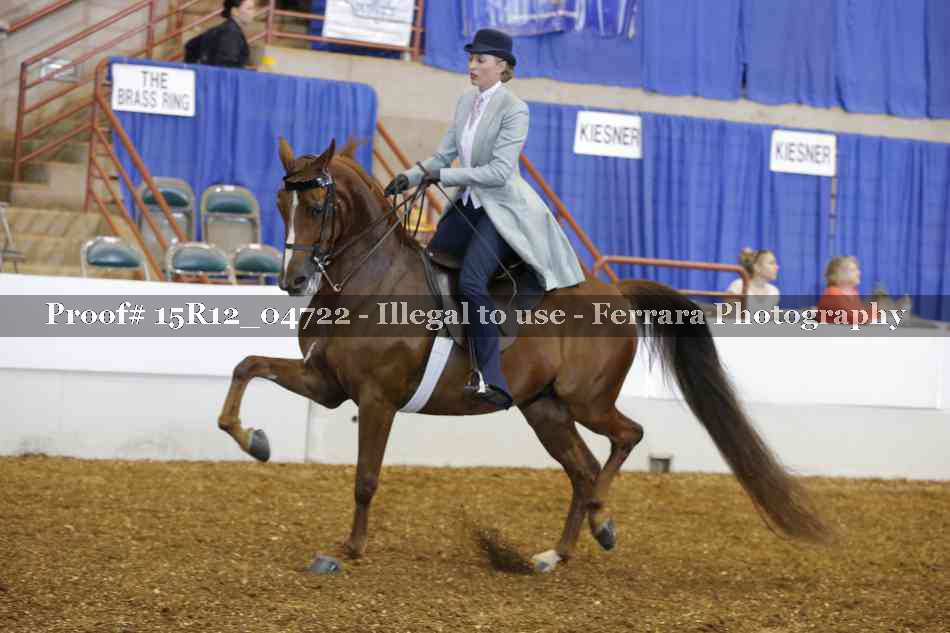Proof 15R12_04722