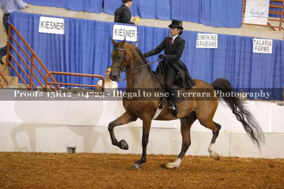 Proof 15R12_04723