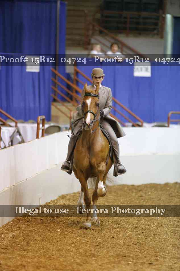 Proof 15R12_04724