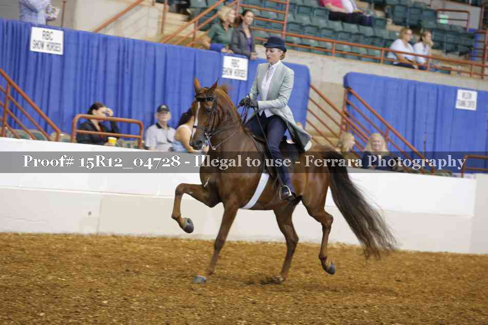 Proof 15R12_04728