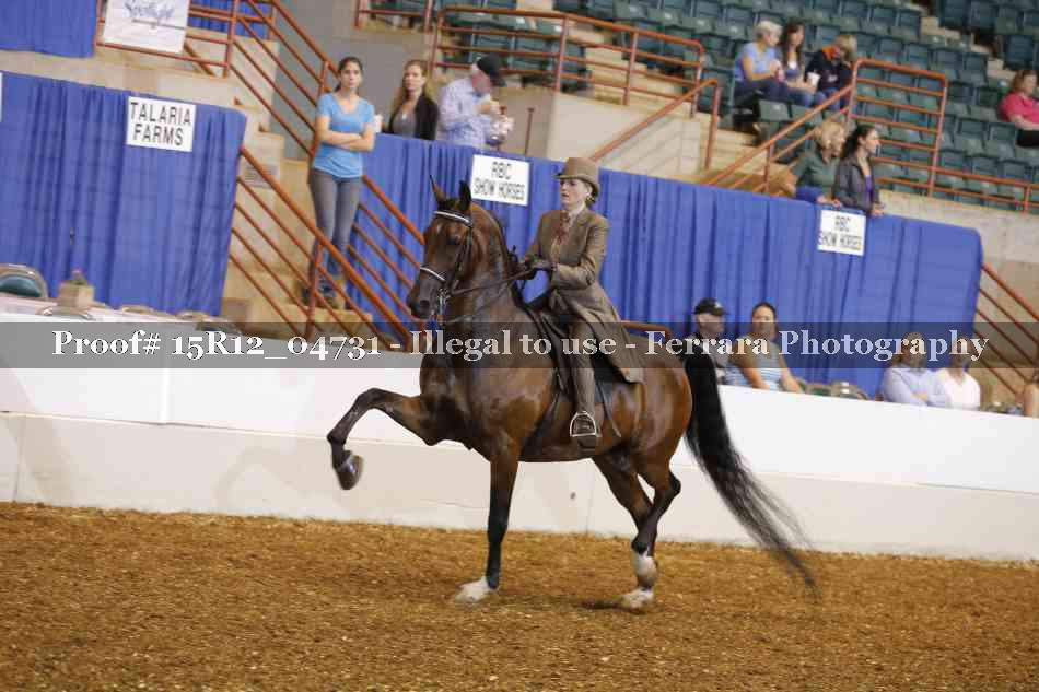 Proof 15R12_04731