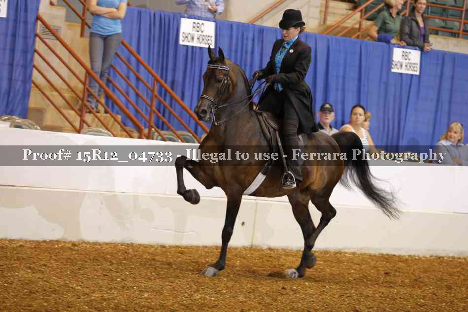 Proof 15R12_04733
