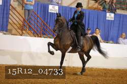 15R12_04733 proof
