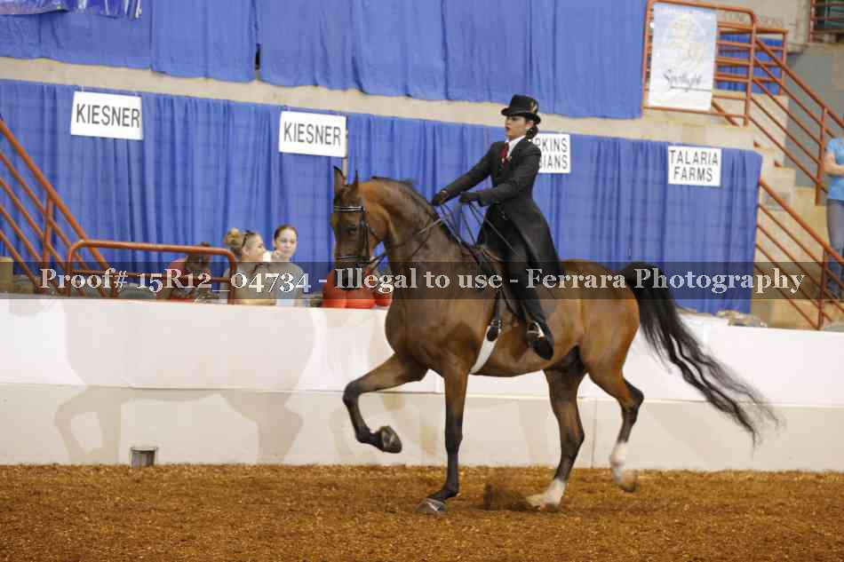 Proof 15R12_04734