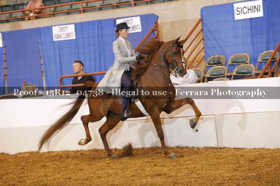 Proof 15R12_04738