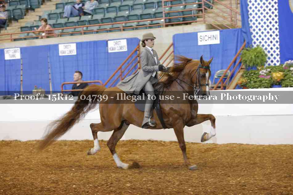 Proof 15R12_04739
