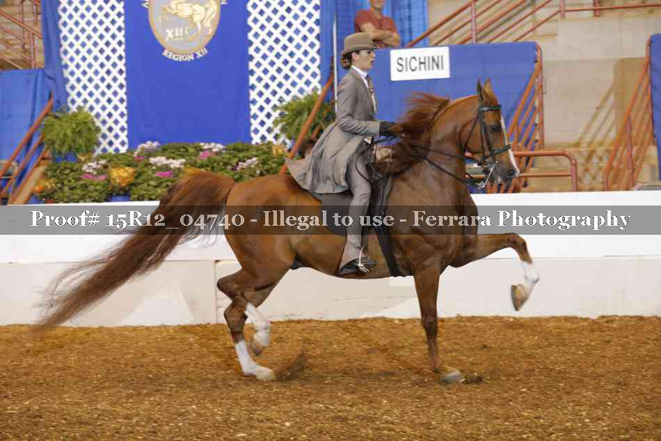 Proof 15R12_04740