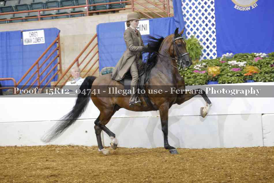 Proof 15R12_04741