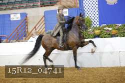 15R12_04741 proof