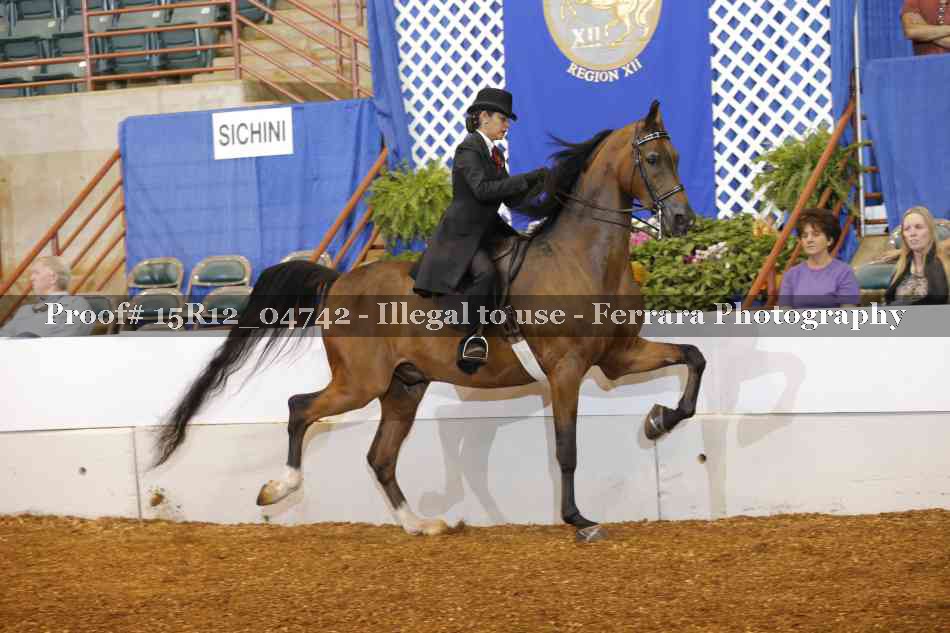 Proof 15R12_04742